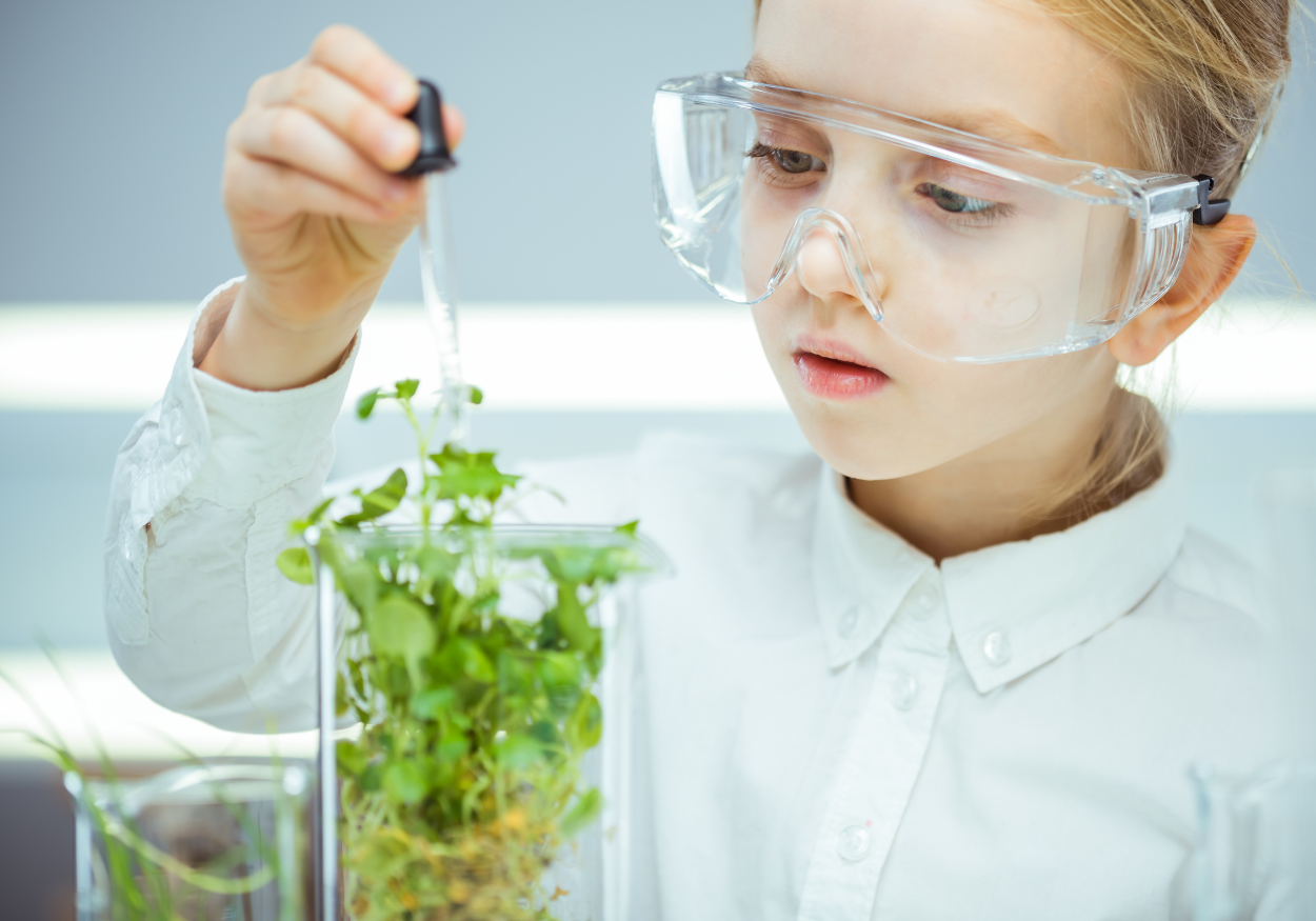 图1：生物添加剂是什么？