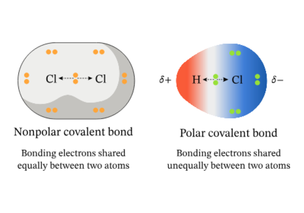 Diagram of polar and non-polar solvents - Vichem.vn