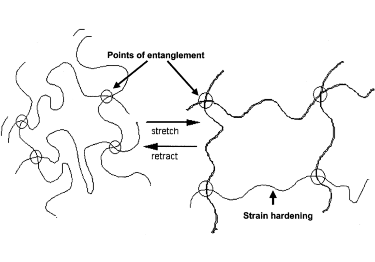 Stretching and recoiling of polymer chains - Vichem.vn