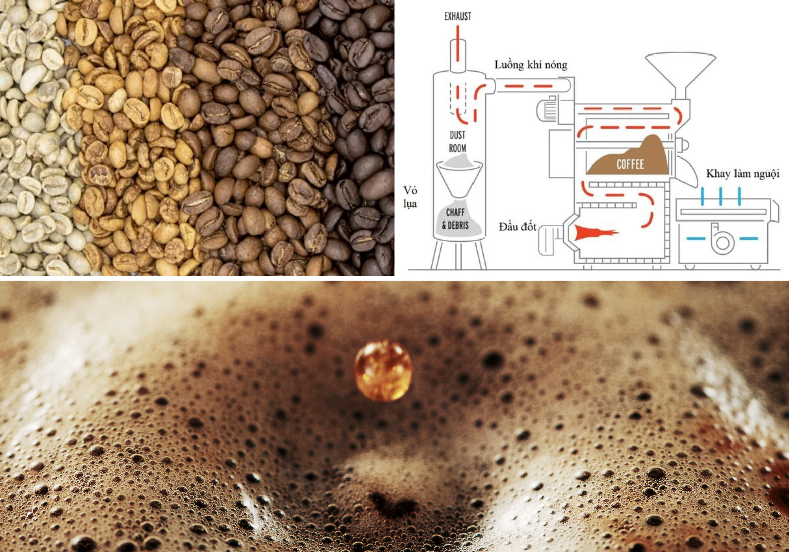 Bühler RoastMaster 的关键特性
