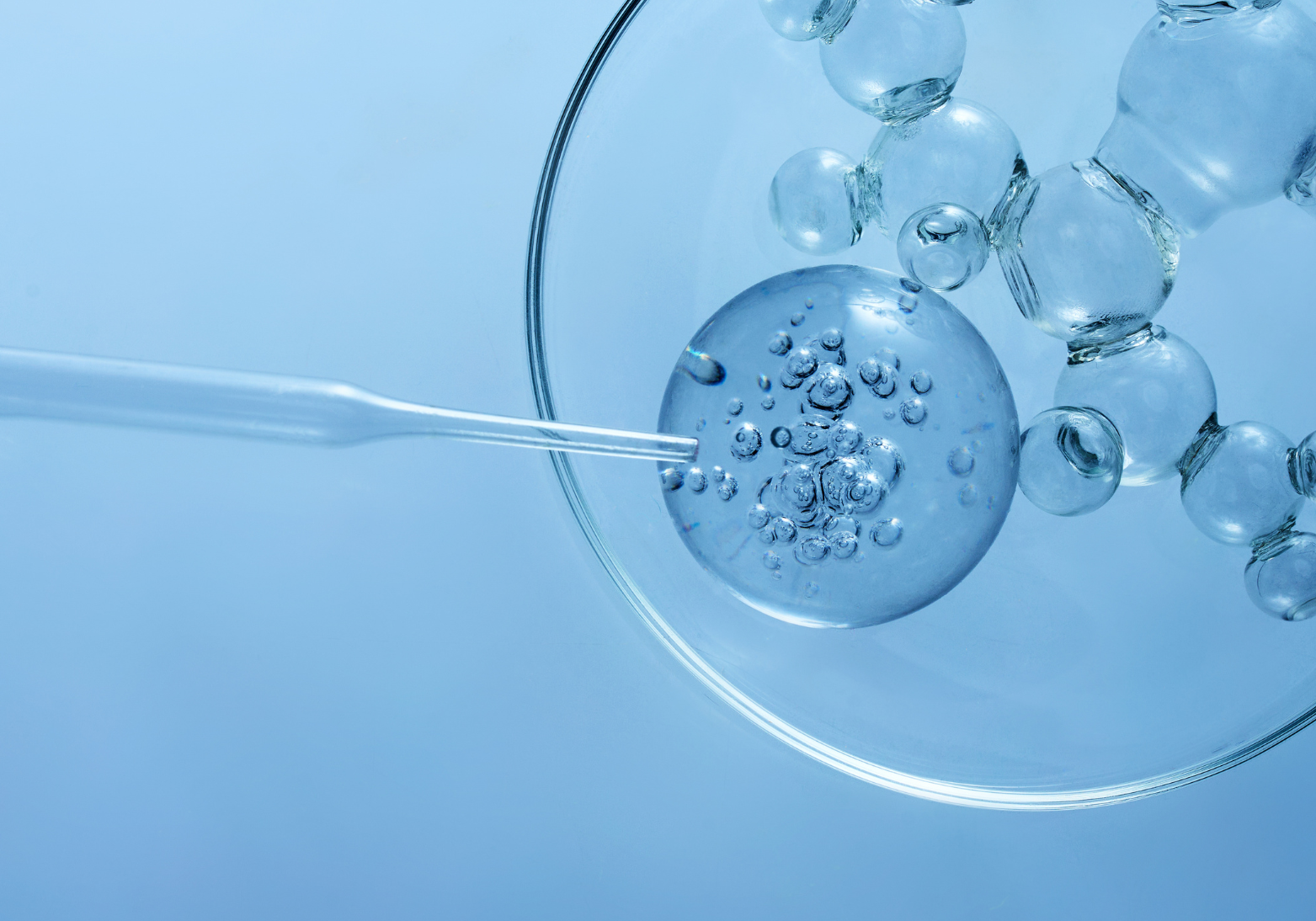 Chemical import requirements
