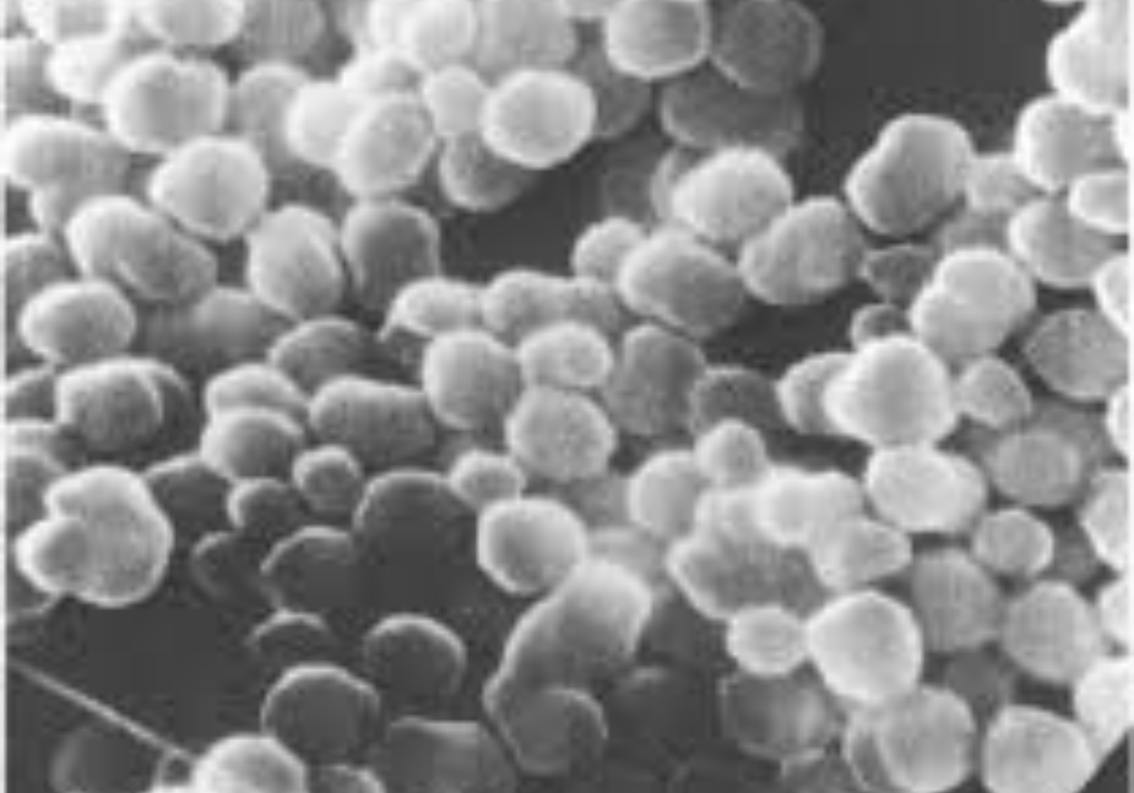 Polymer particles dispersed in emulsion system - Vichem.vn