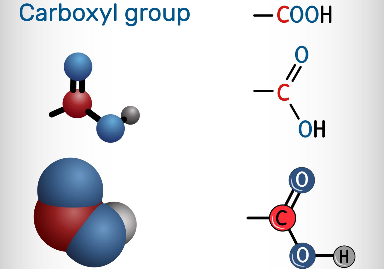 –COOH (carboxyl) functional group in polymers - Vichem.vn –COOH (carboxyl) functional group in polymers - Vichem.vn