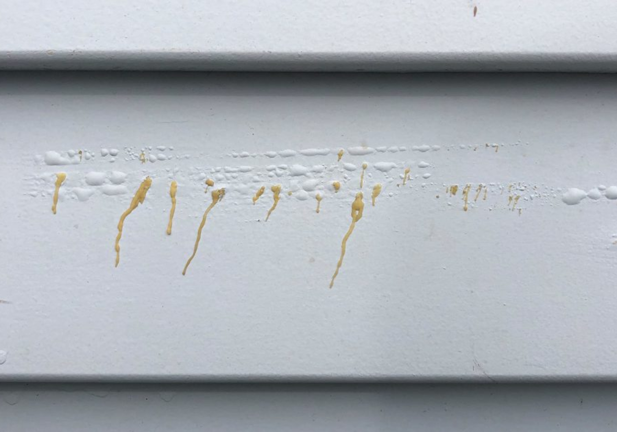 Wood resin and tannin causing discoloration - Vichem.vn Wood resin and tannin causing discoloration - Vichem.vn