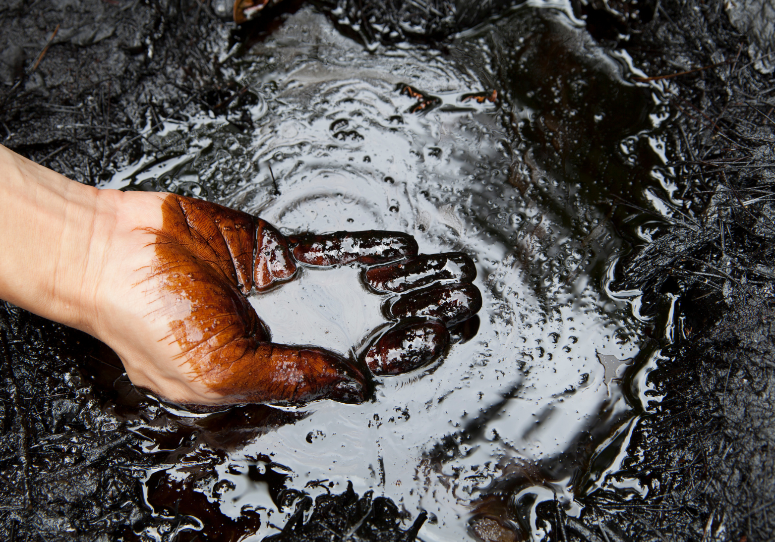 The role of Middle Eastern oil in the energy market
