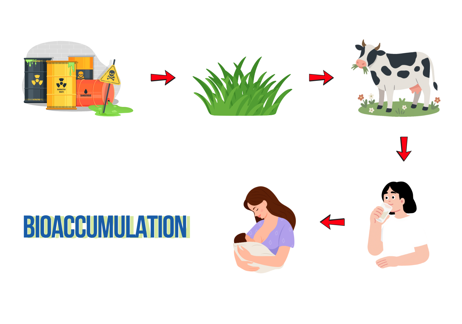 Hóa chất có khả năng tích lũy sinh học là gì_ Vichem.vn Hóa chất có khả năng tích lũy sinh học là gì_ Vichem.vn