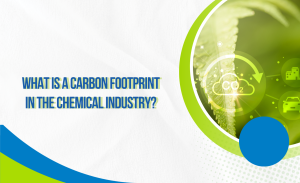 W19_26 - 06 - Carbon footprint trong ngành hóa chất là gì